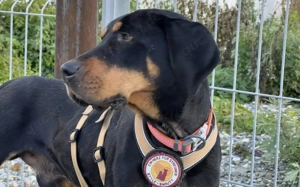 Baki wartet auf seine Familie Bild 5