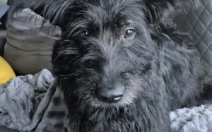 Hat sich Pineta in dein Herz geschlichen