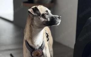 Payton sucht ihr perfect match