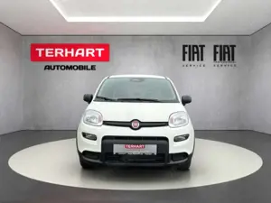 Fiat Panda 1.0 Mild Hybrid/PDC/StartStopp/Nebelscheinwerfer Bild 5