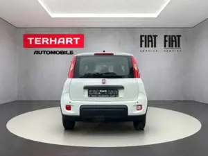 Fiat Panda 1.0 Mild Hybrid/PDC/StartStopp/Nebelscheinwerfer Bild 4
