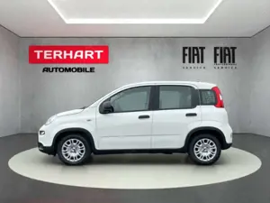 Fiat Panda 1.0 Mild Hybrid/PDC/StartStopp/Nebelscheinwerfer Bild 2