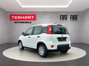 Fiat Panda 1.0 Mild Hybrid/PDC/StartStopp/Nebelscheinwerfer Bild 3
