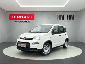 Fiat Panda 1.0 Mild Hybrid/PDC/StartStopp/Nebelscheinwerfer