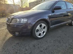Audi A3 1.6 Attraction Bild 3