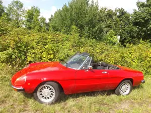 Alfa Romeo Spider 2000 - Eine wahre italienische Schönheit! Bild 3