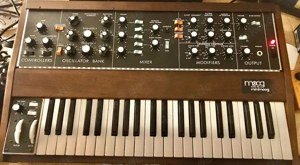 Moog Minimoog Model D 2022 Edition - Neuwertig