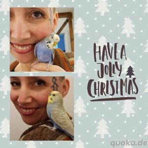 Wellensittiche Standardsittiche super zahm und kinderlieb 