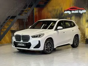 BMW X1 23i xDrive M Sport~LED~KAMERA~HiFi~NAVI
