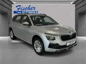 Skoda Kamiq Selection Winterpak. DSG Rückfahrkam.