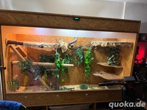 Terrarium mit diversem Zubehör