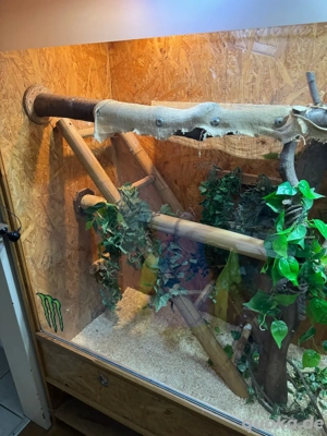 Terrarium mit diversem Zubehör Bild 3