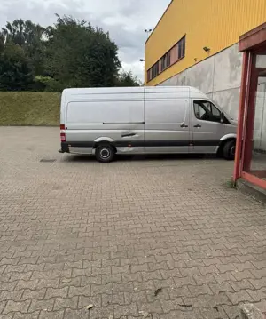 Mercedes-Benz Sprinter 313 CDI (BlueTec) 4x4 906.6 Mietkauf möglich Bild 2