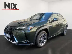 Lexus UX 250h 2.0 Hybrid Executive Line