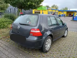 Volkswagen Golf Golf 1.4 16V Bild 4