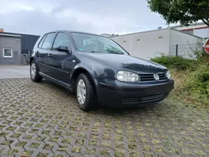 Volkswagen Golf Golf 1.4 16V Bild 2
