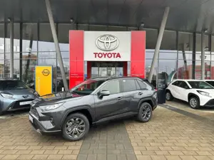 Toyota RAV 4 4 Hybrid 4x2 Team Deutschland, TECHNIK-PAKET