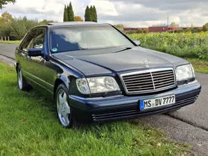 Mercedes-Benz S 320 AMG  Prinz Gasanlage