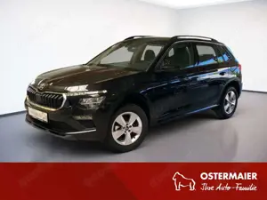 Skoda Kamiq 1.0TSI DSG AHK.WINTERPAKET.16 ALU