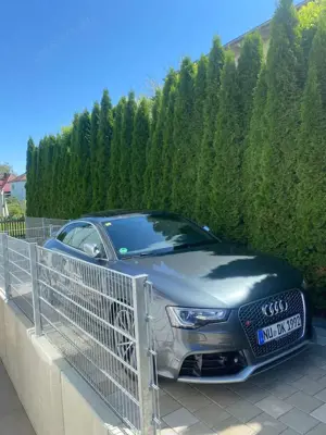 Audi RS5 S tronic *PANORAMADACH Bild 3