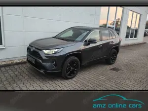 Toyota RAV 4 2.5 Style MJ25 Smart Entry*Leder*Totwinkel