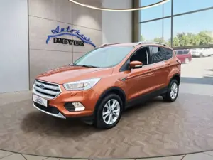 Ford Kuga Titanium 1,5 176PS 4x4 Aut. 8*Alu/Navi/Winterp.