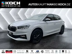 Skoda Fabia 1.0 TSI Selection AHZV PDC v+h ACC WINTER