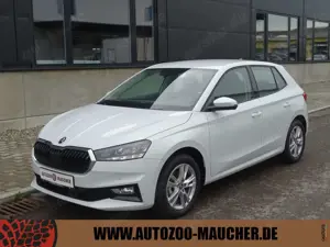 Skoda Fabia 1.0 TSI Selection APP/KLIMA/PDC/SHZ/Kamera