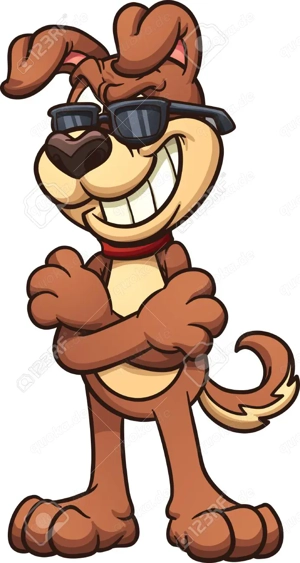 Kleiner Mischlingshund gesucht