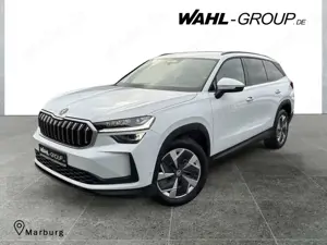 Skoda Kodiaq 2.0 TDI 190 Selection 4x4*LED*PDC*RFK*Blind-Spot*