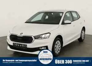 Skoda Fabia 1.0 TSI Selection, Ladeboden, Park, Winterpaket, S