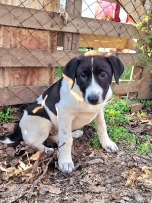 Bis du vielleicht meine Zukunft?