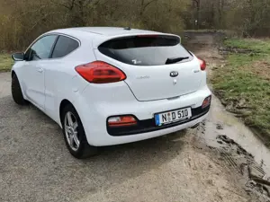 Kia ProCeed / pro_cee'd pro Ceed 1.6 CRDi Spirit Bild 4