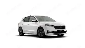 Skoda Fabia Tour 1.0 TSI LED*RFK*GRA*KESSY*SMARTLINK