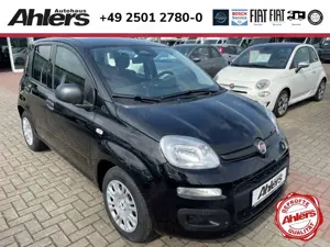 Fiat Panda +KLIMA+DIGICOCKPIT+PDC+ASSISTENTEN+5SITZER+TEMPOMA