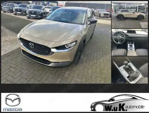 Mazda CX-30 2.5L e-SKYACTIV G 140ps Homura