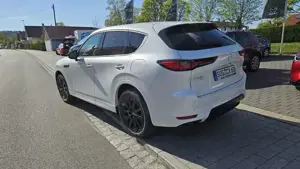 Mazda CX-60 als Homura 2025 Reihen 6-Zylinder Bild 5