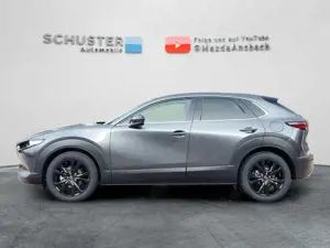 Mazda CX-30 2025 Nagisa SKYACTIV-X 186PS AG BOSE LEDER Bild 4