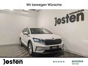 Skoda Enyaq 50 Loft ACC SHZ Navi CarPlay RFK PDC v+h LED LM19'