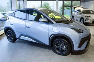 BYD Dolphin Dolphin Surf Boost