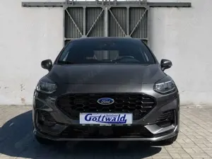 Ford Fiesta ST-Line Beheizbare Frontscheibe Keyless LED Bild 5