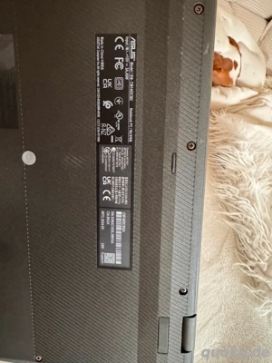Asus Chromebook Bild 3