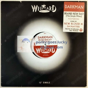 Darkman - Brand New Day (The Jungle Mixes) 1995 Promo 12" Vinyl Drum n Bass, Jungle