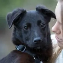 Raja 40 cm   die Herzensbrecherin [auf Pflegestelle in 37136 Seulingen]