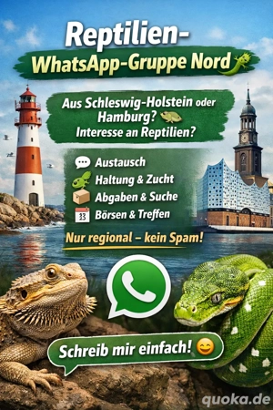 Reptilien,Gruppe Nord 
