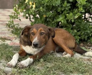 Hübsche Ela - freundlich und ausgeglichen Bild 3