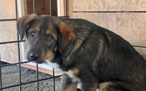 Der liebenswürdige Klaus sieht mit dem Herzen gut