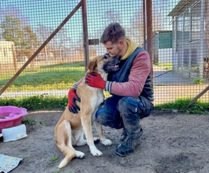 Pötyi 2, z.Zt. in Ungarn, ich bin groß und habe Spaß an am Leben und an Aufgaben