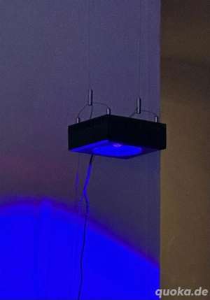 Red Sea ReefLED 90 inkl. aufhängung