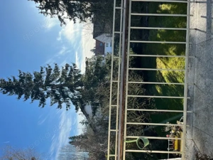 Wohnen auf Zeit 15.1.2026 bis 10.03.26   evtl. danach WG möglich? Untermenzing 80997